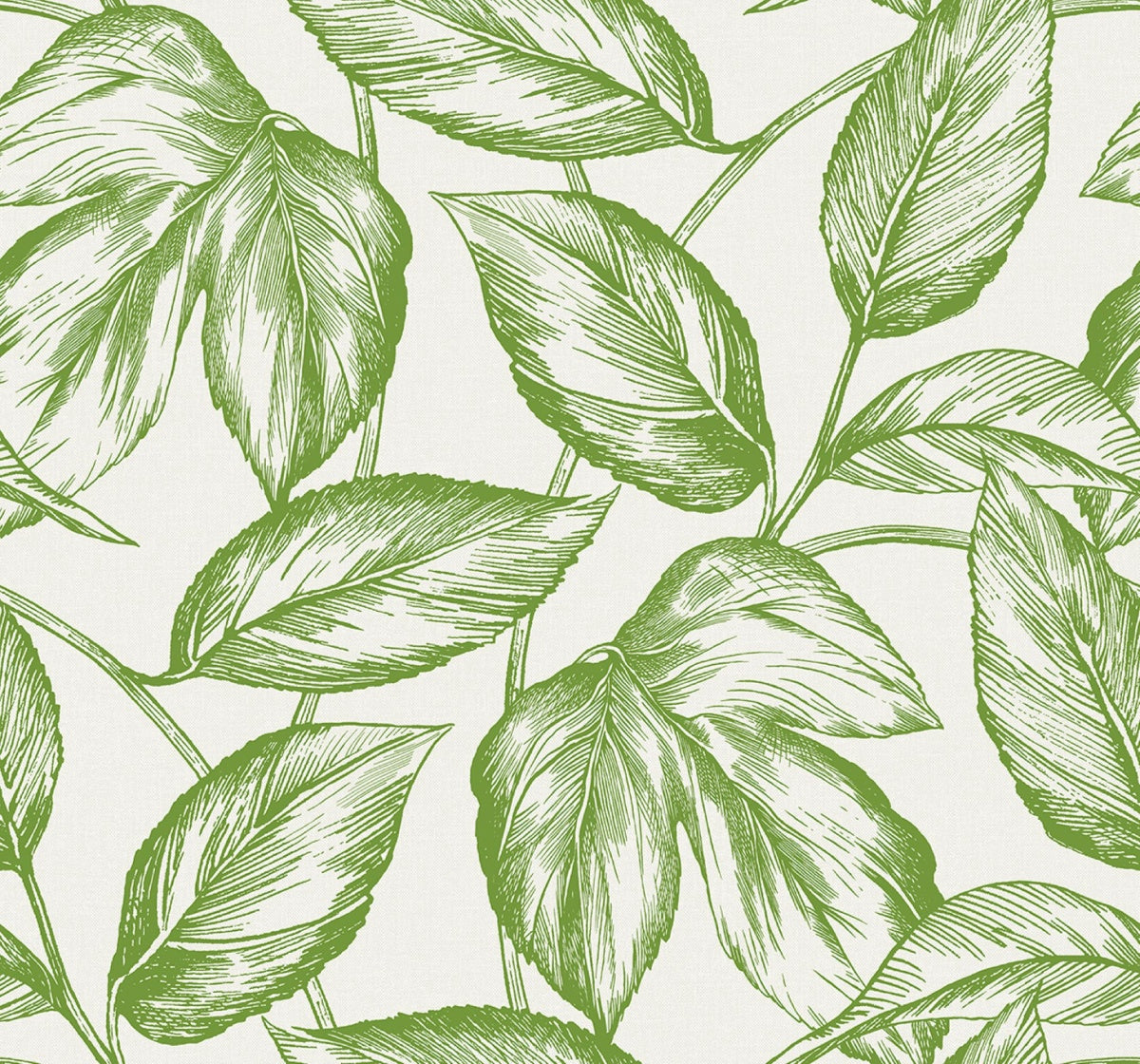 Sketched Leaves Wallpaper