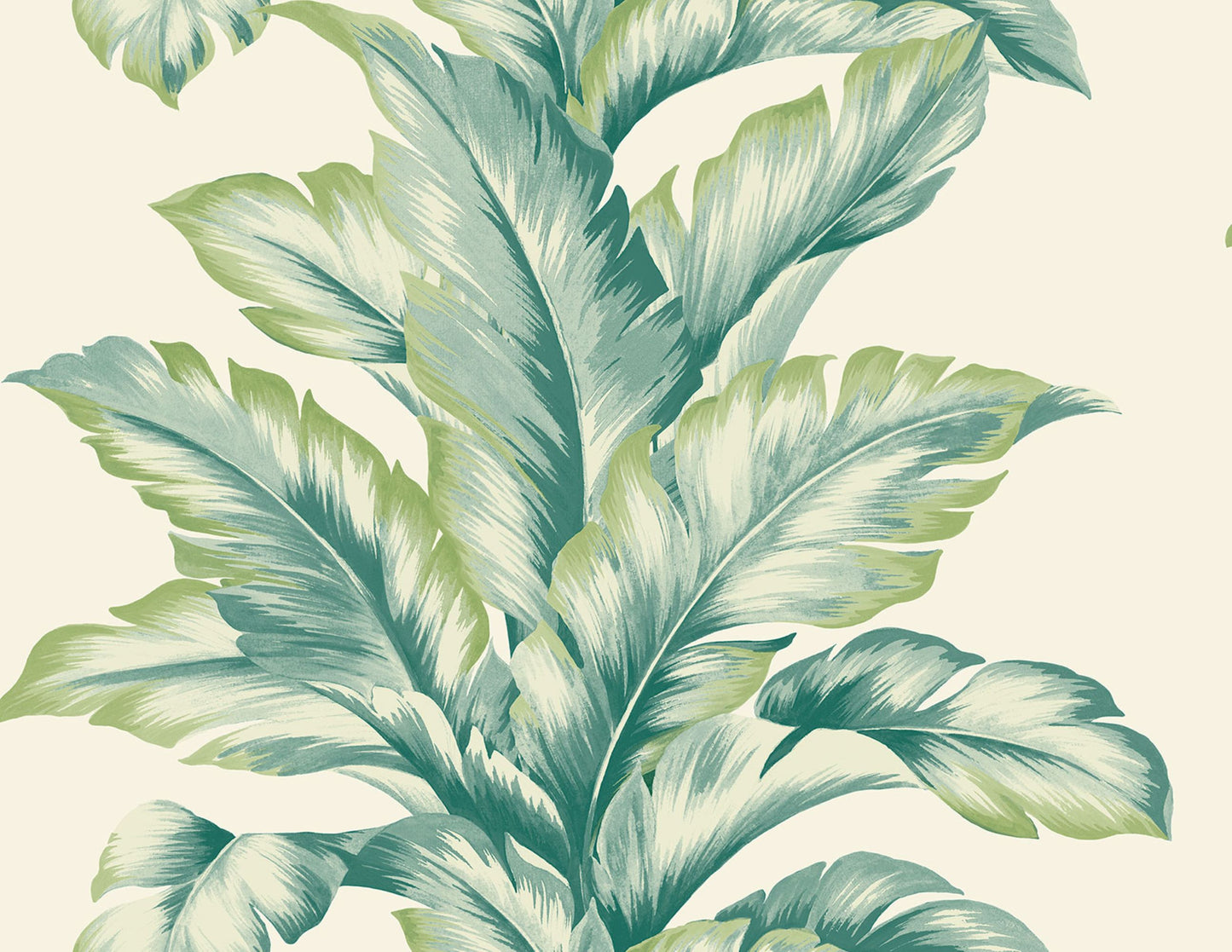 Banana Leaf Commercial & Vinyl