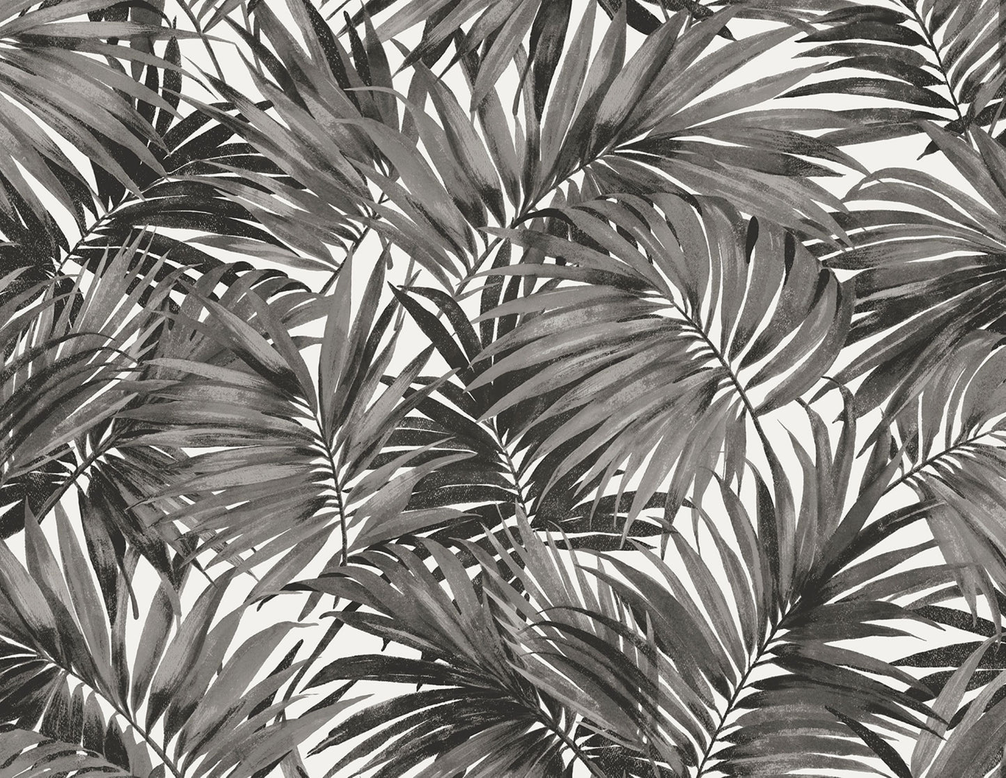 Exotic Palms Commercial & Vinyl