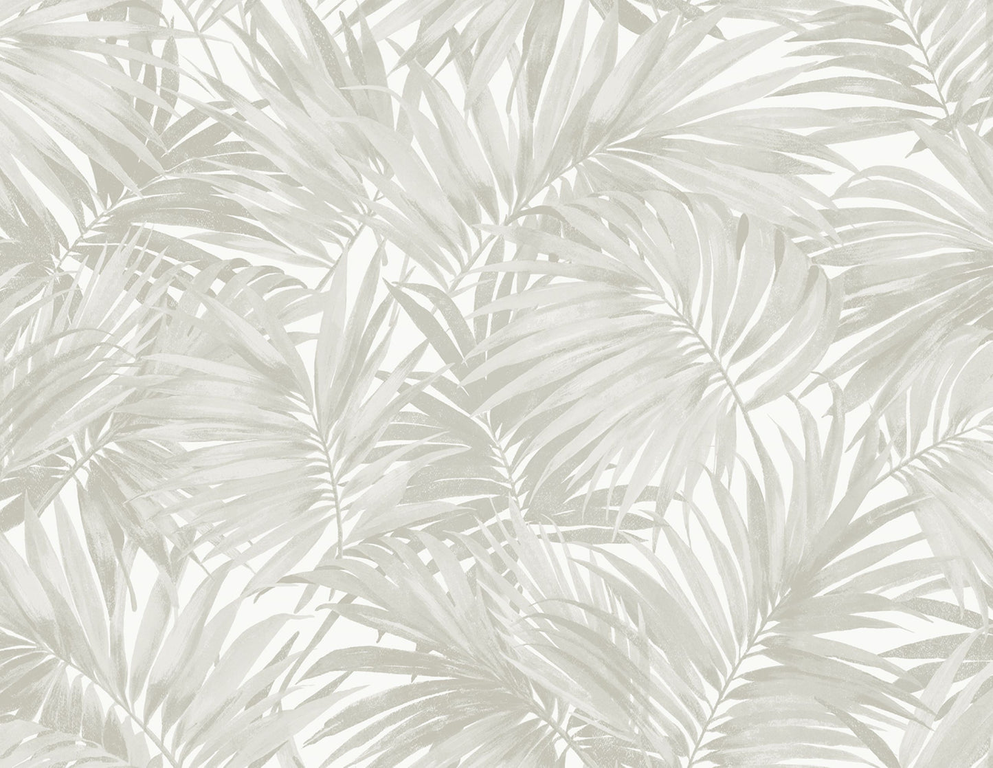Exotic Palms Commercial & Vinyl