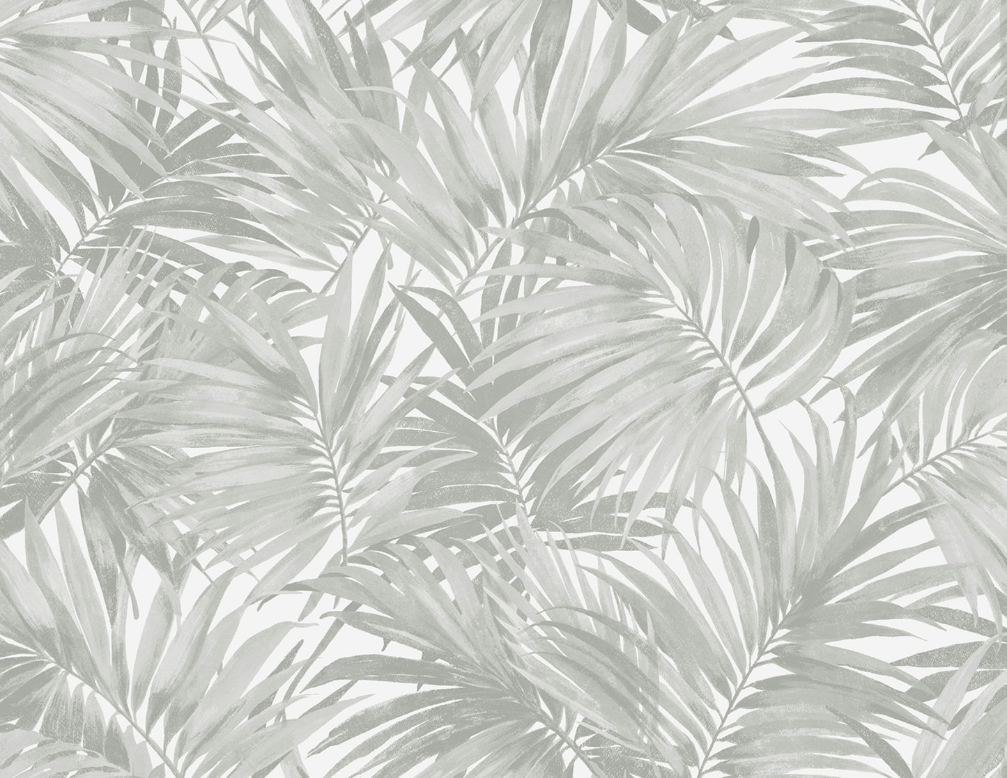 Exotic Palms Commercial & Vinyl