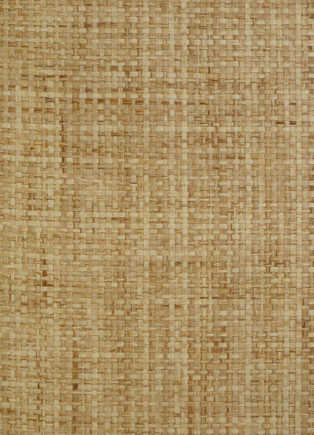 Paper Interlace Texture Grasscloth & Naturals