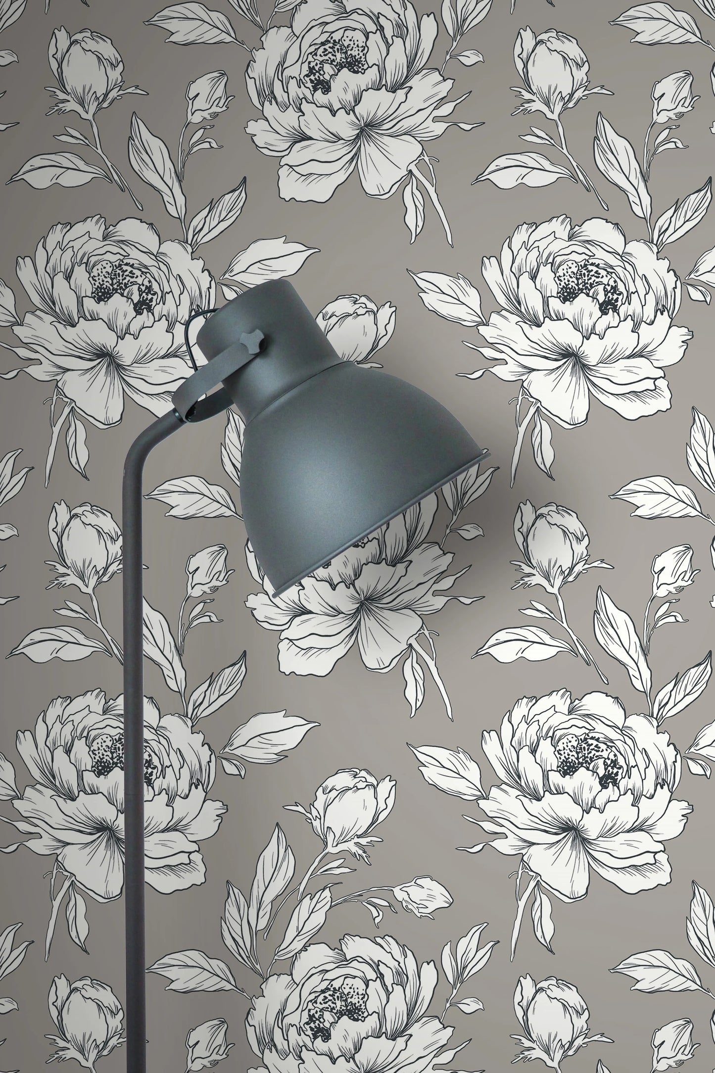 Peony Flower Wallpaper