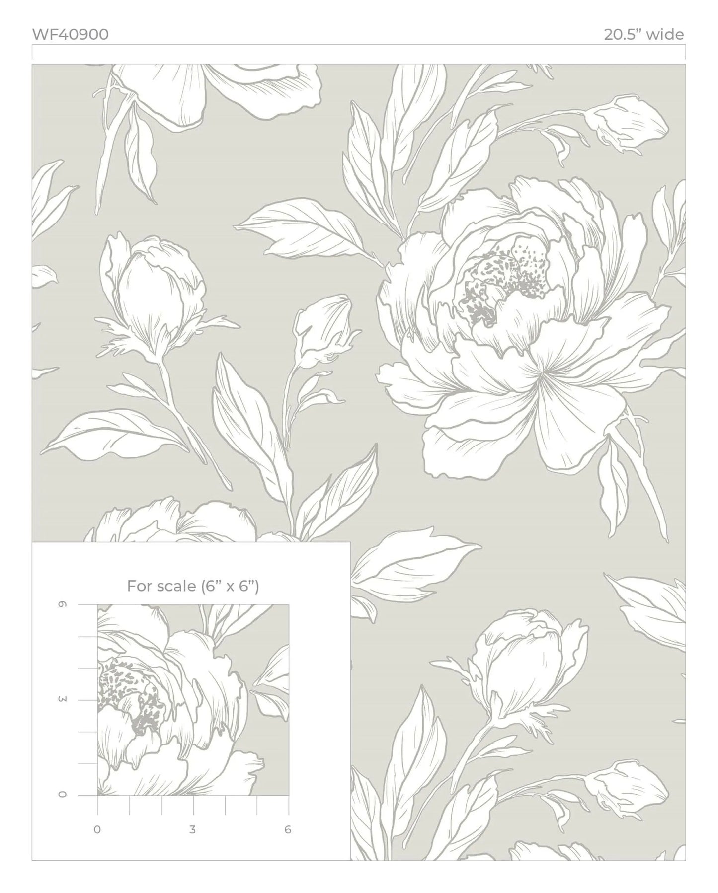Peony Flower Wallpaper
