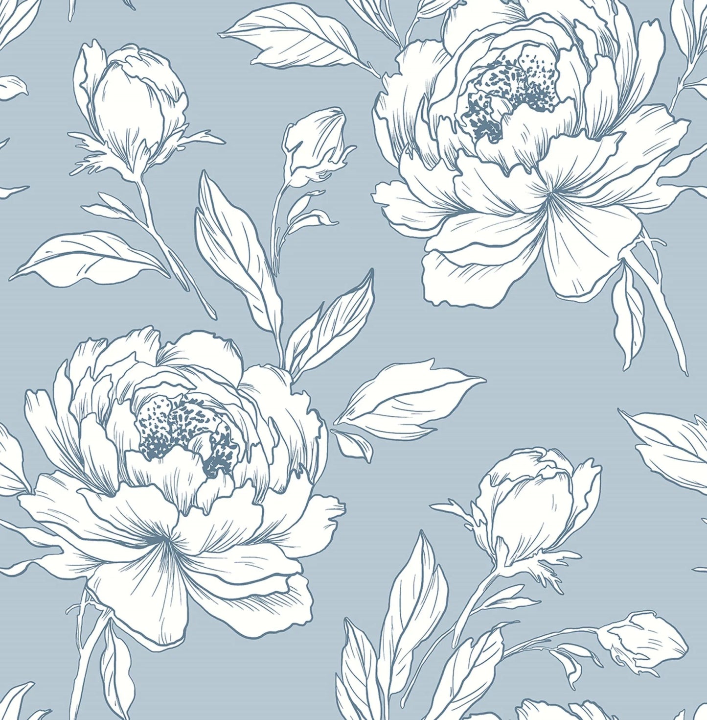 Peony Flower Wallpaper
