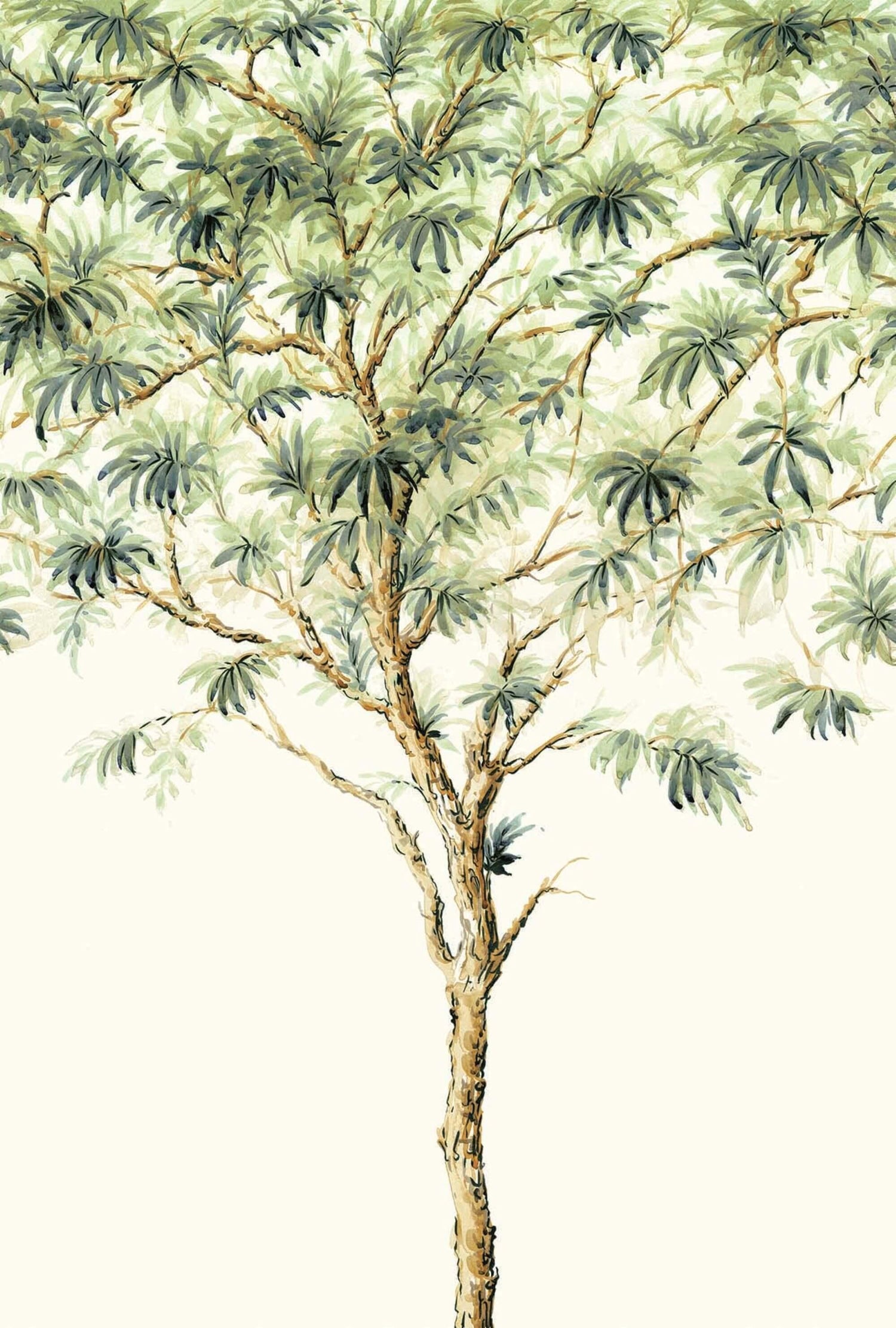 Murals - Casa Mia Wallcovering