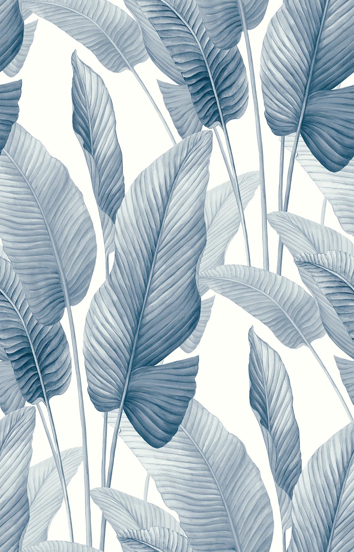 Lace Leaf Wallpaper features large, overlapping blue tropical leaves on a white nonwoven background.