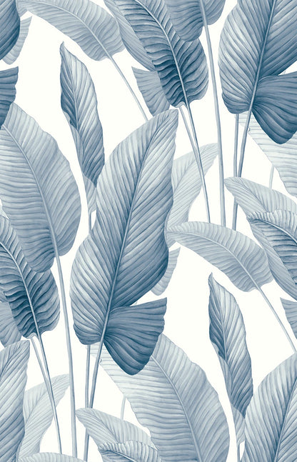 Lace Leaf Wallpaper features large, overlapping blue tropical leaves on a white nonwoven background.