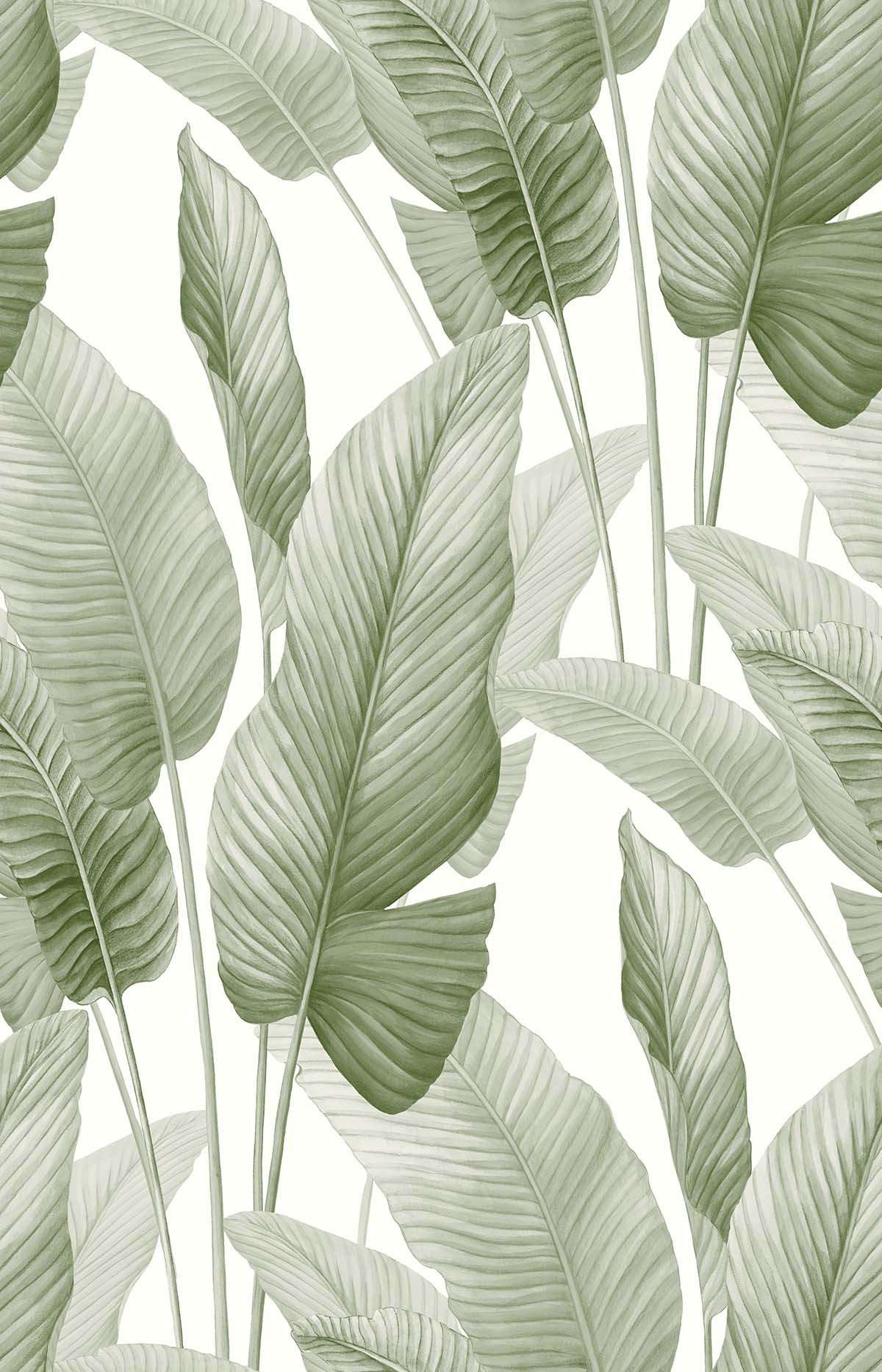 Lace Leaf Wallpaper features a seamless pattern of large tropical leaves on a light background, ideal for decor.