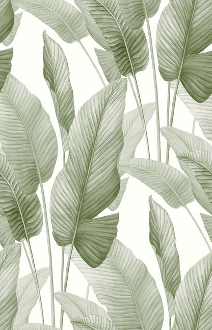 Lace Leaf Wallpaper features a seamless pattern of large tropical leaves on a light background, ideal for decor.