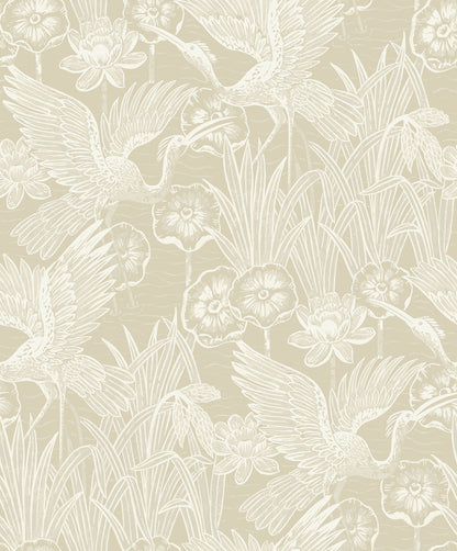 Beige Marsh Heron Wallpaper close-up.
