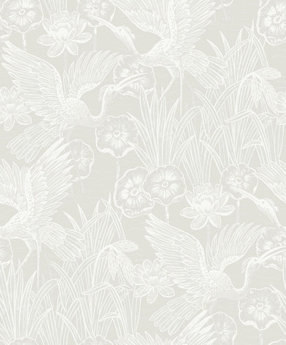 White/Off White Marsh Heron Wallpaper
close-up.