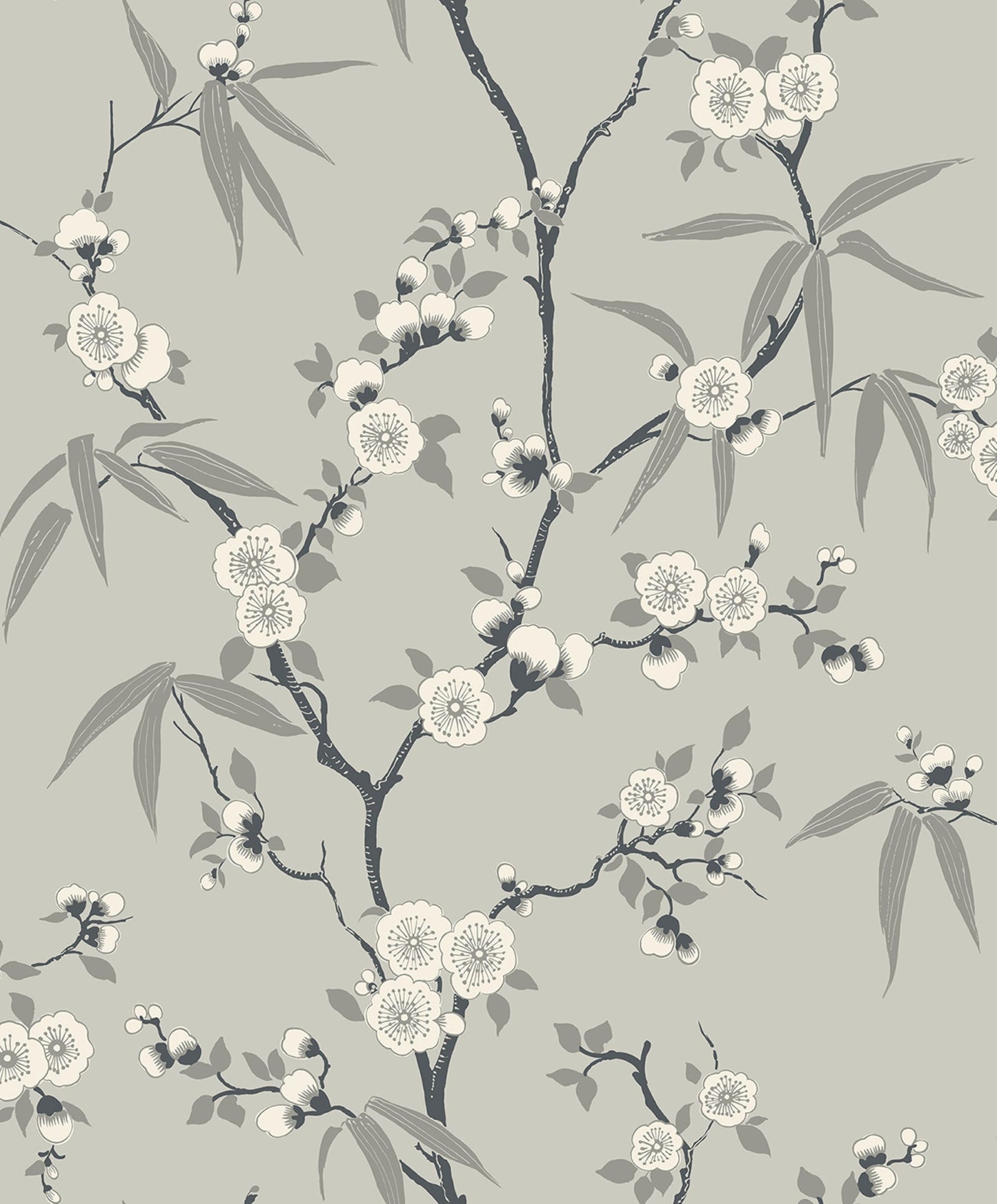 Gray Blossom Spring Flower Wallpaper
close-up.