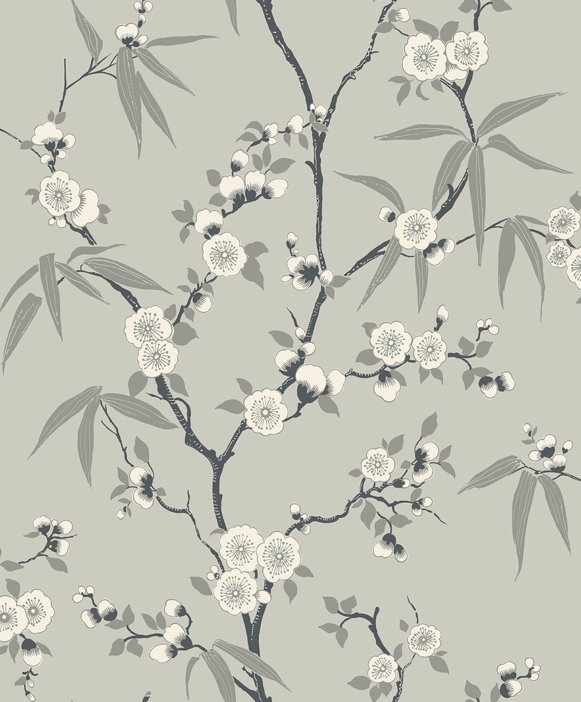 Gray Blossom Spring Flower Wallpaper
close-up.