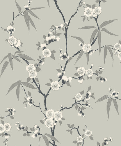 Gray Blossom Spring Flower Wallpaper
close-up.