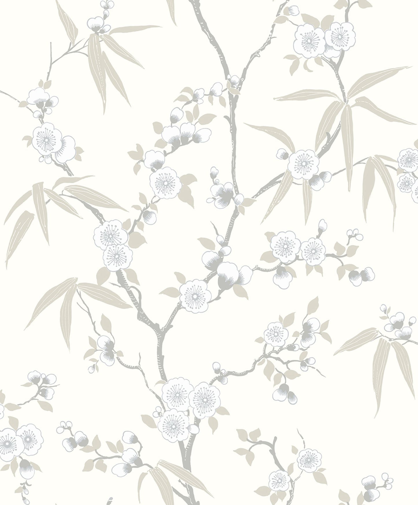 White/Off White Blossom Spring Flower Wallpaper close-up.
