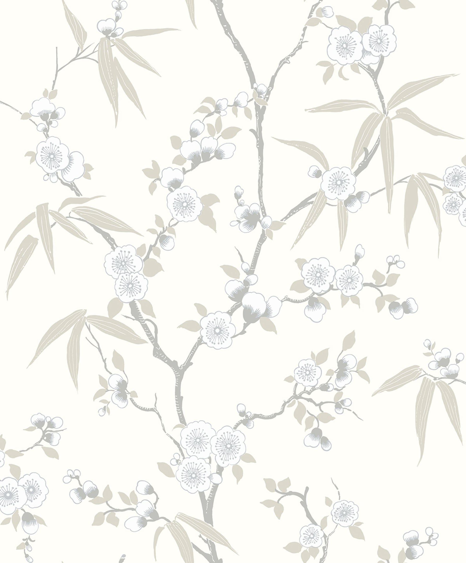 White/Off White Blossom Spring Flower Wallpaper close-up.
