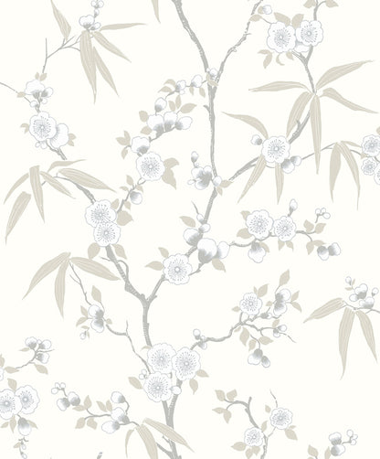 White/Off White Blossom Spring Flower Wallpaper close-up.
