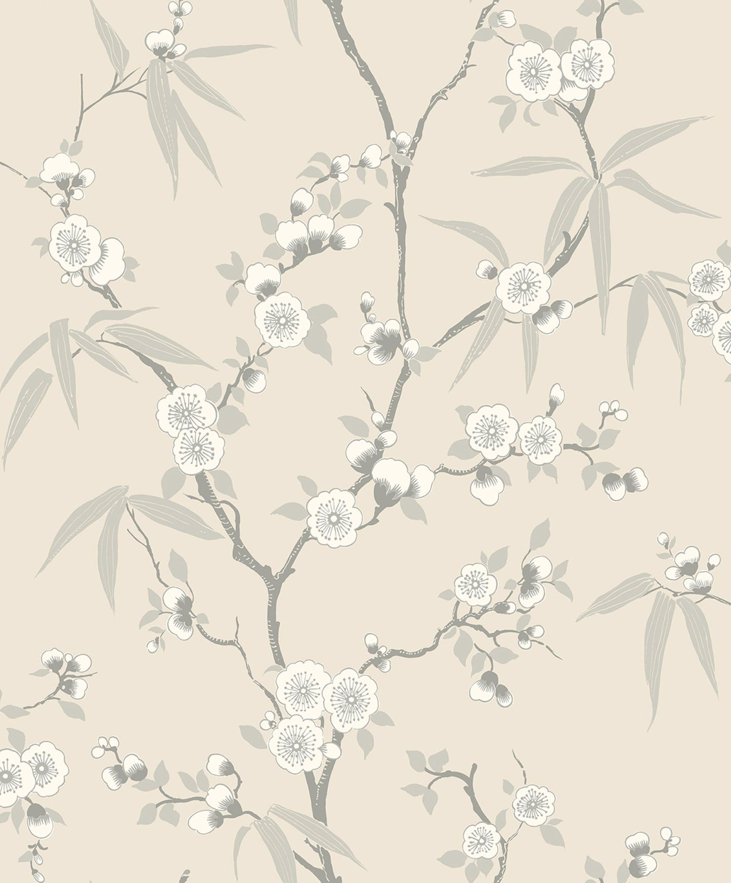 Beige & Soft Gray Blossom Spring Flower Wallpaper close-up.
