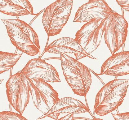 Sketched Leaves Wallpaper