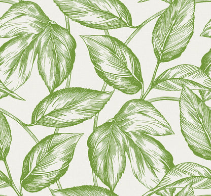 Sketched Leaves Wallpaper