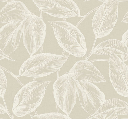 Sketched Leaves Wallpaper