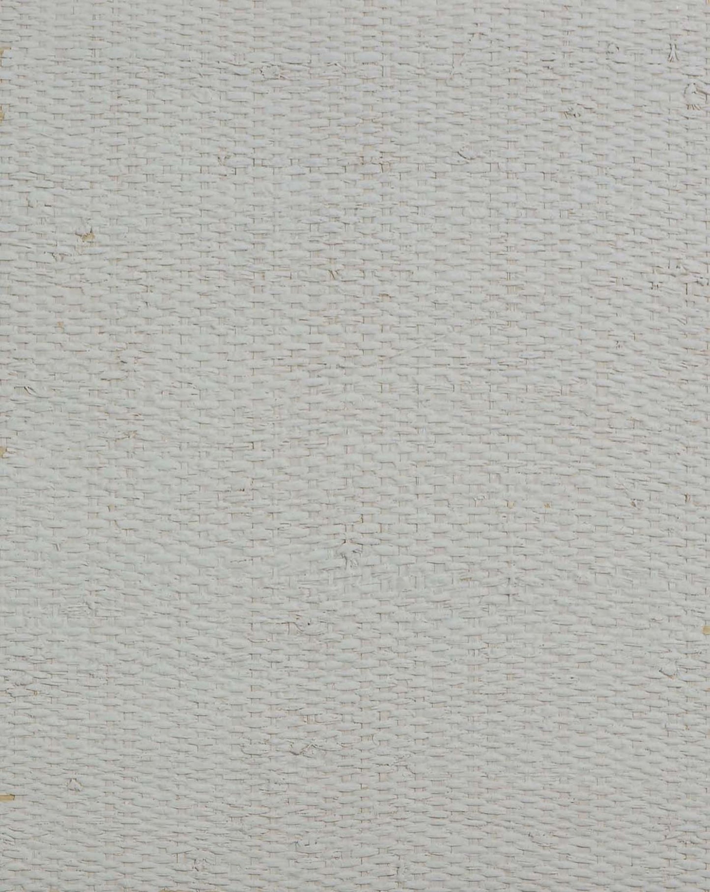 Raffia Texture Grasscloth & Naturals