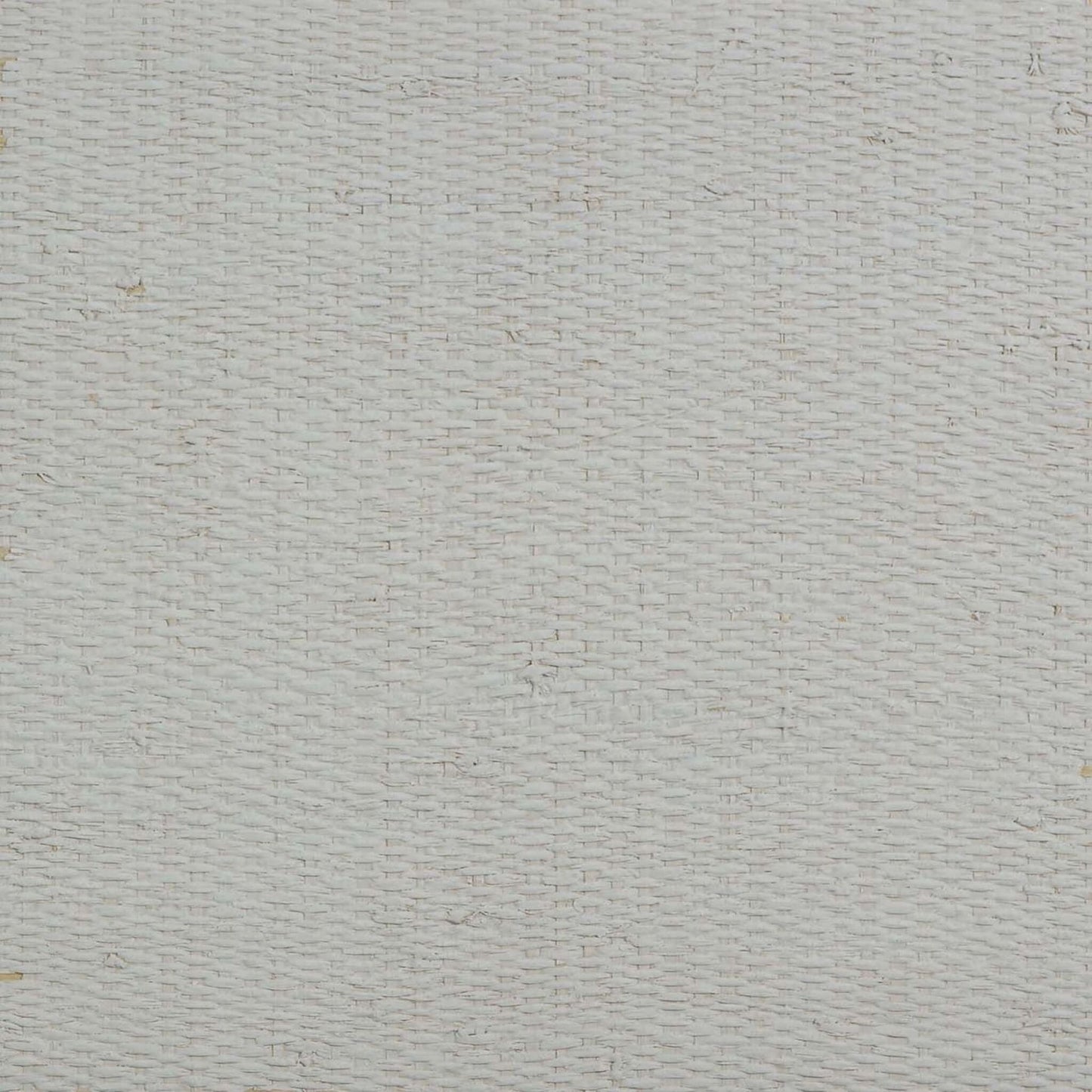 Gray & White/Off White Raffia Texture Grasscloth & Naturals close-up.
