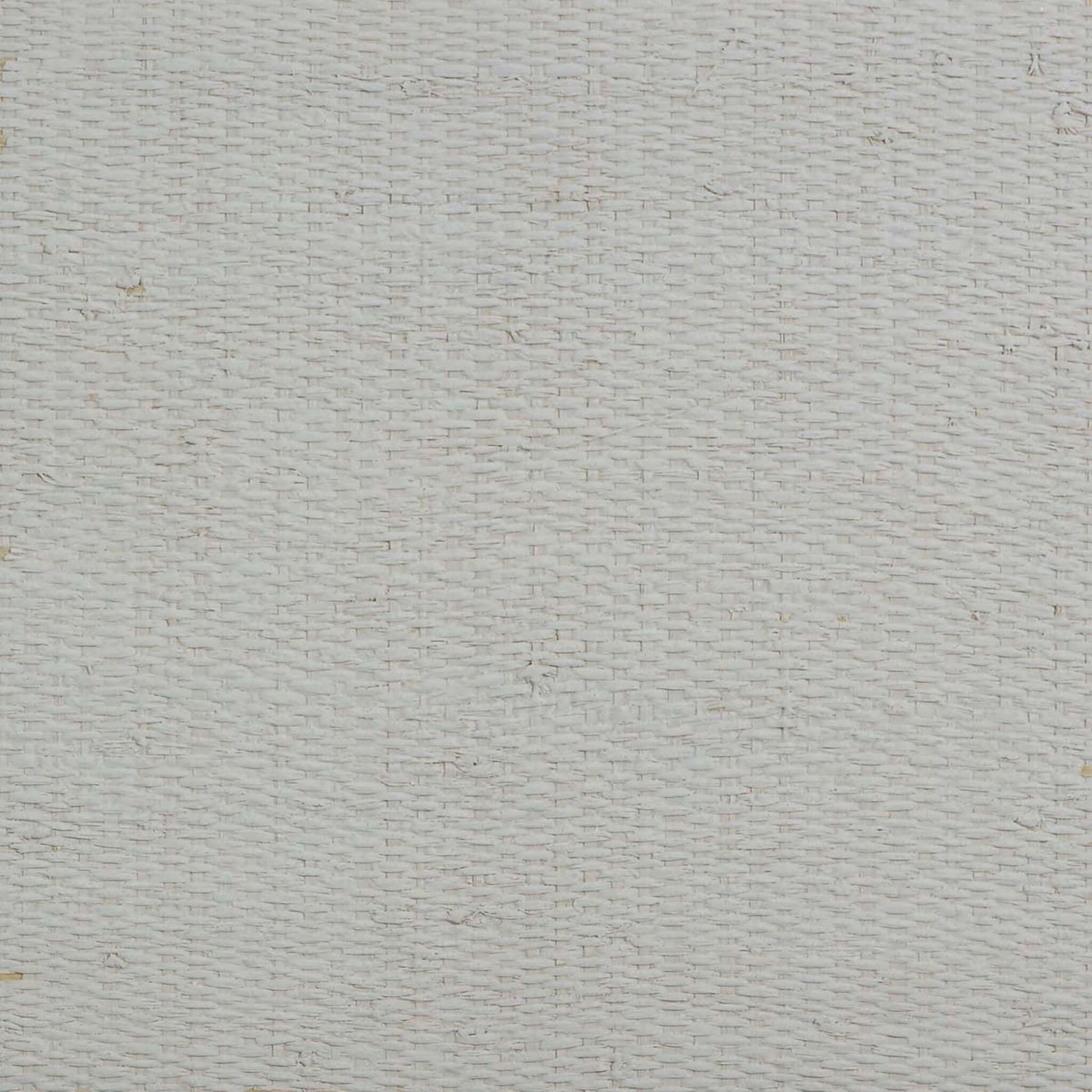 Gray & White/Off White Raffia Texture Grasscloth & Naturals close-up.
