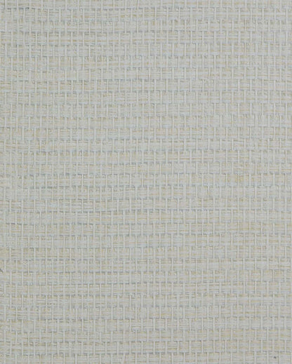 Raffia Texture Grasscloth & Naturals