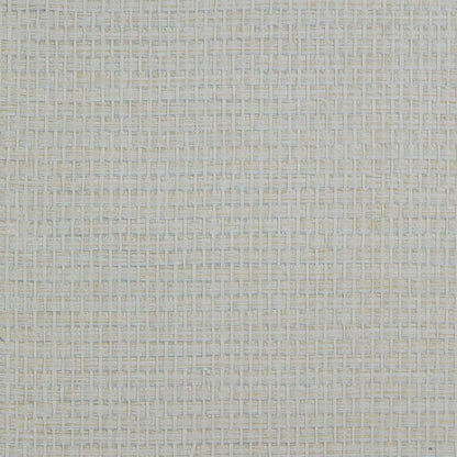 Soft Gray & White/Off White Raffia Texture Grasscloth & Naturals close-up.

