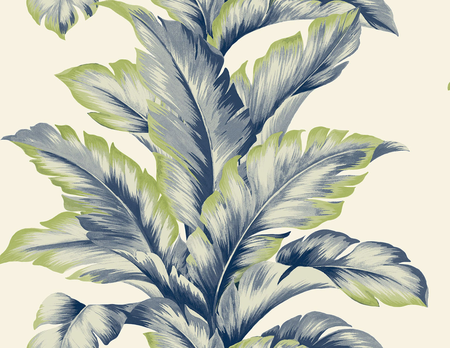 Banana Leaf Commercial & Vinyl