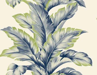 Banana Leaf Commercial & Vinyl