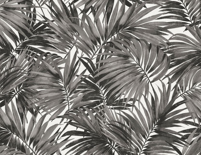 Exotic Palms Commercial & Vinyl