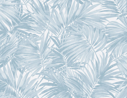 Exotic Palms Commercial & Vinyl