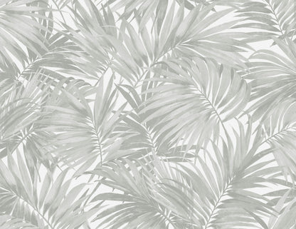 Exotic Palms Commercial & Vinyl