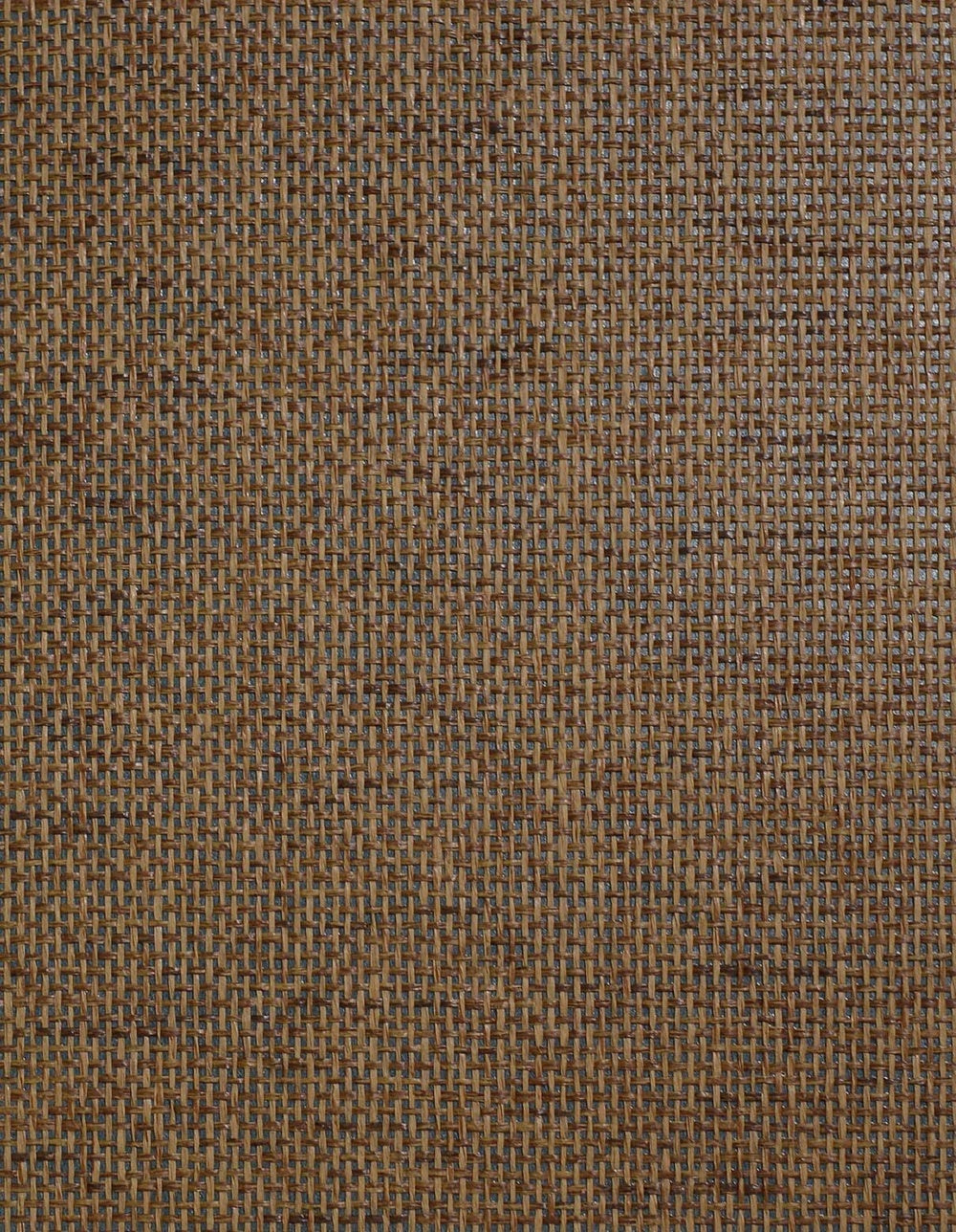 Paperbraid Texture Grasscloth & Naturals