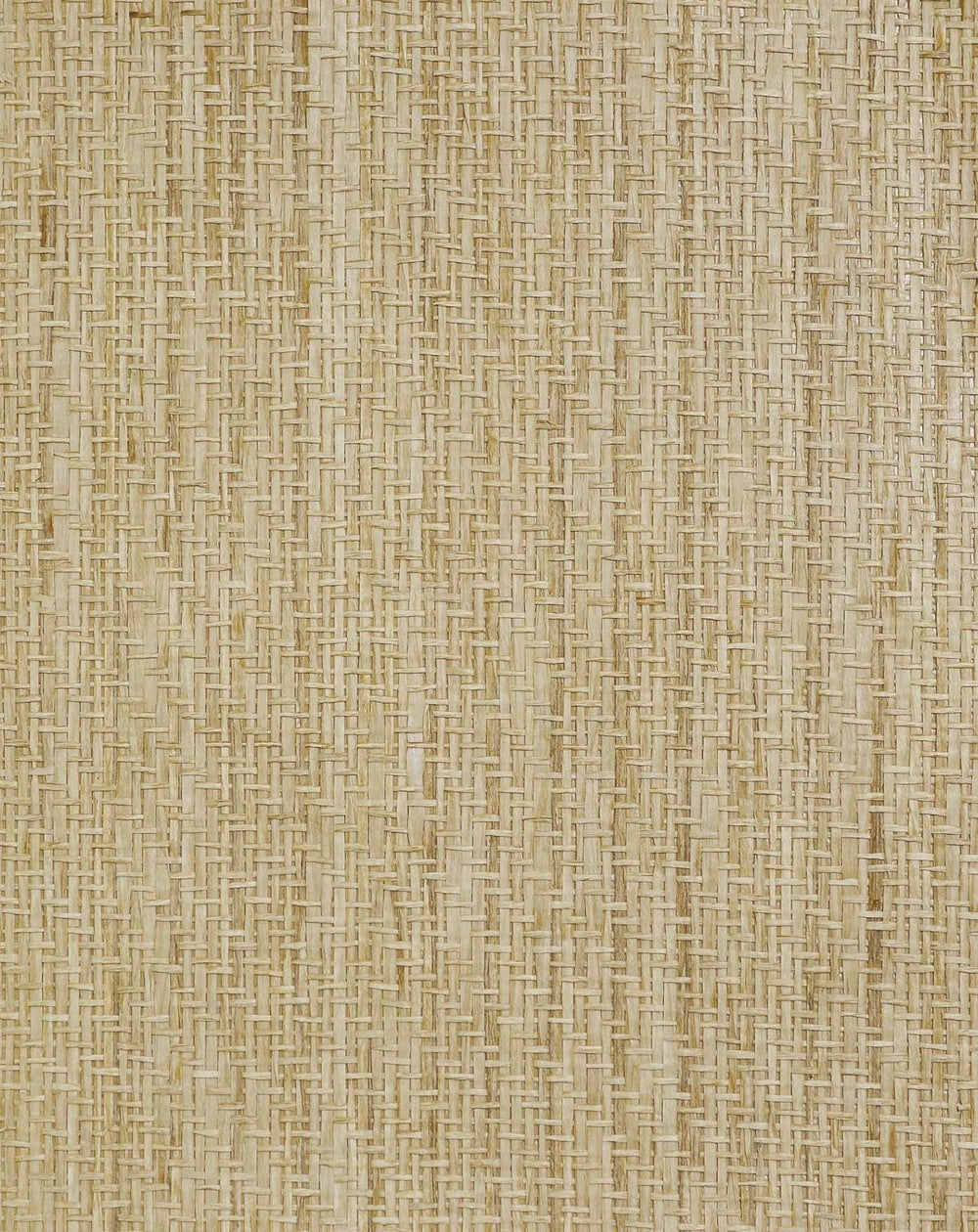 Paper Interlace Texture Grasscloth & Naturals