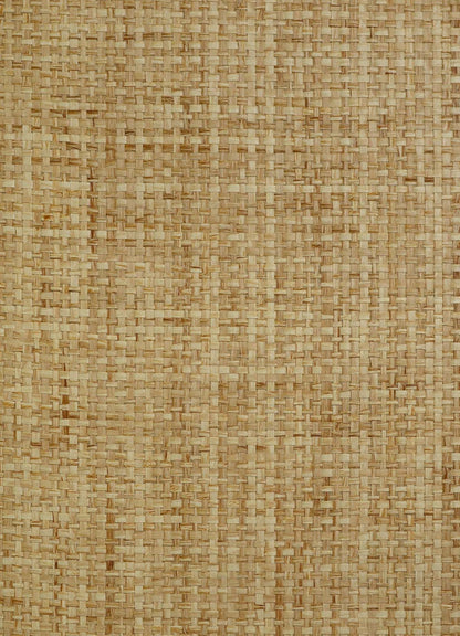 Paper Interlace Texture Grasscloth & Naturals