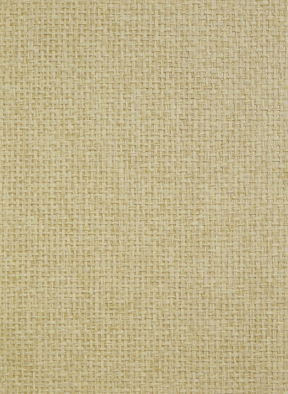 Paperbraid Texture Grasscloth & Naturals