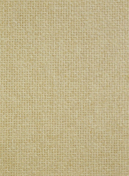 Paperbraid Texture Grasscloth & Naturals