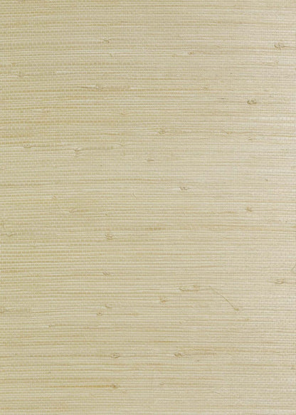 Grasscloth Texture Grasscloth & Naturals
