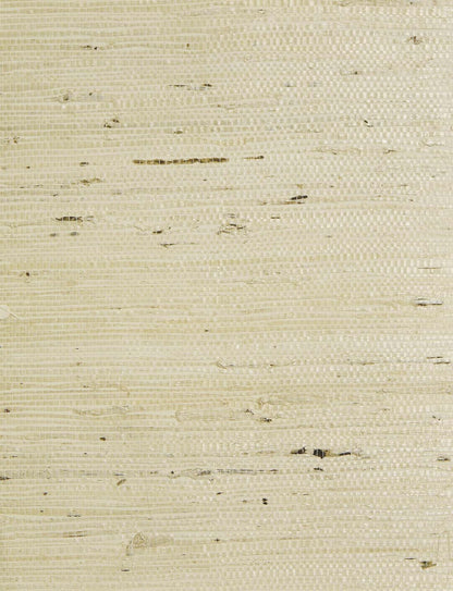 Grasscloth Texture Grasscloth & Naturals