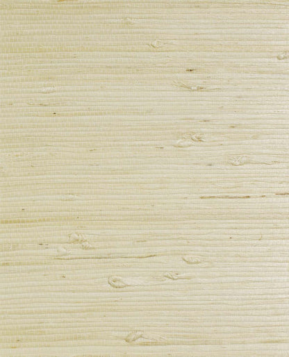Grasscloth Texture Grasscloth & Naturals