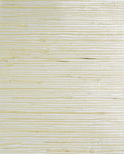 Grasscloth Texture Grasscloth & Naturals