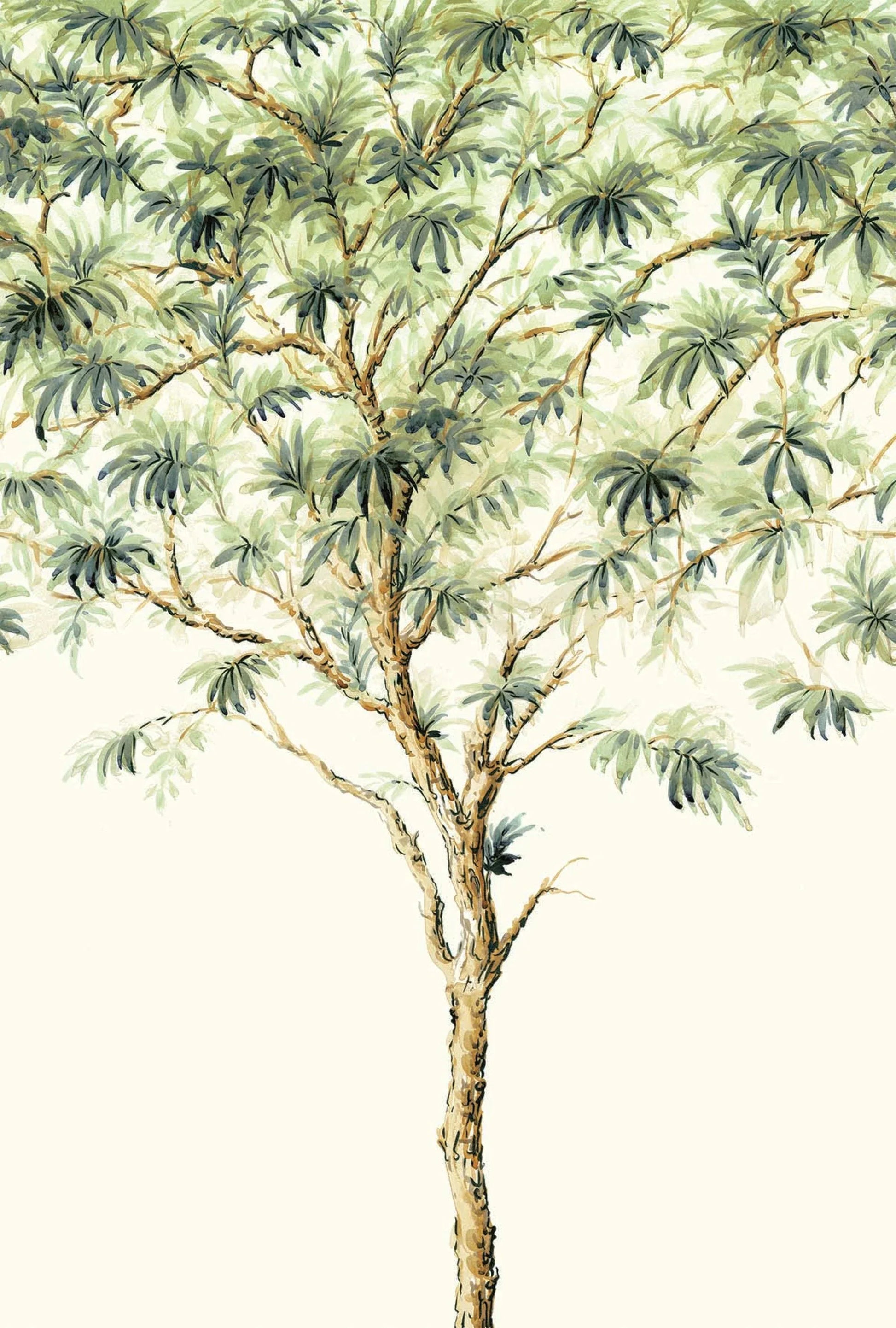 Tree Canopy Murals - Casa Mia Wallcovering