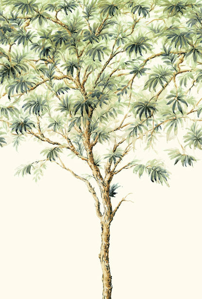 Tree Canopy Murals - Casa Mia Wallcovering