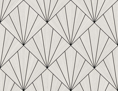 Black & White Art Deco Geo Commercial & Vinyl close-up.
