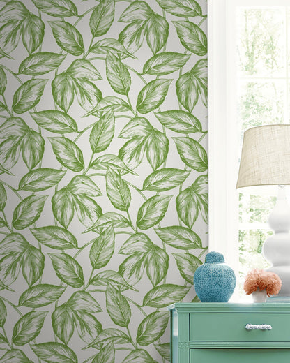 Sketched Leaves Wallpaper