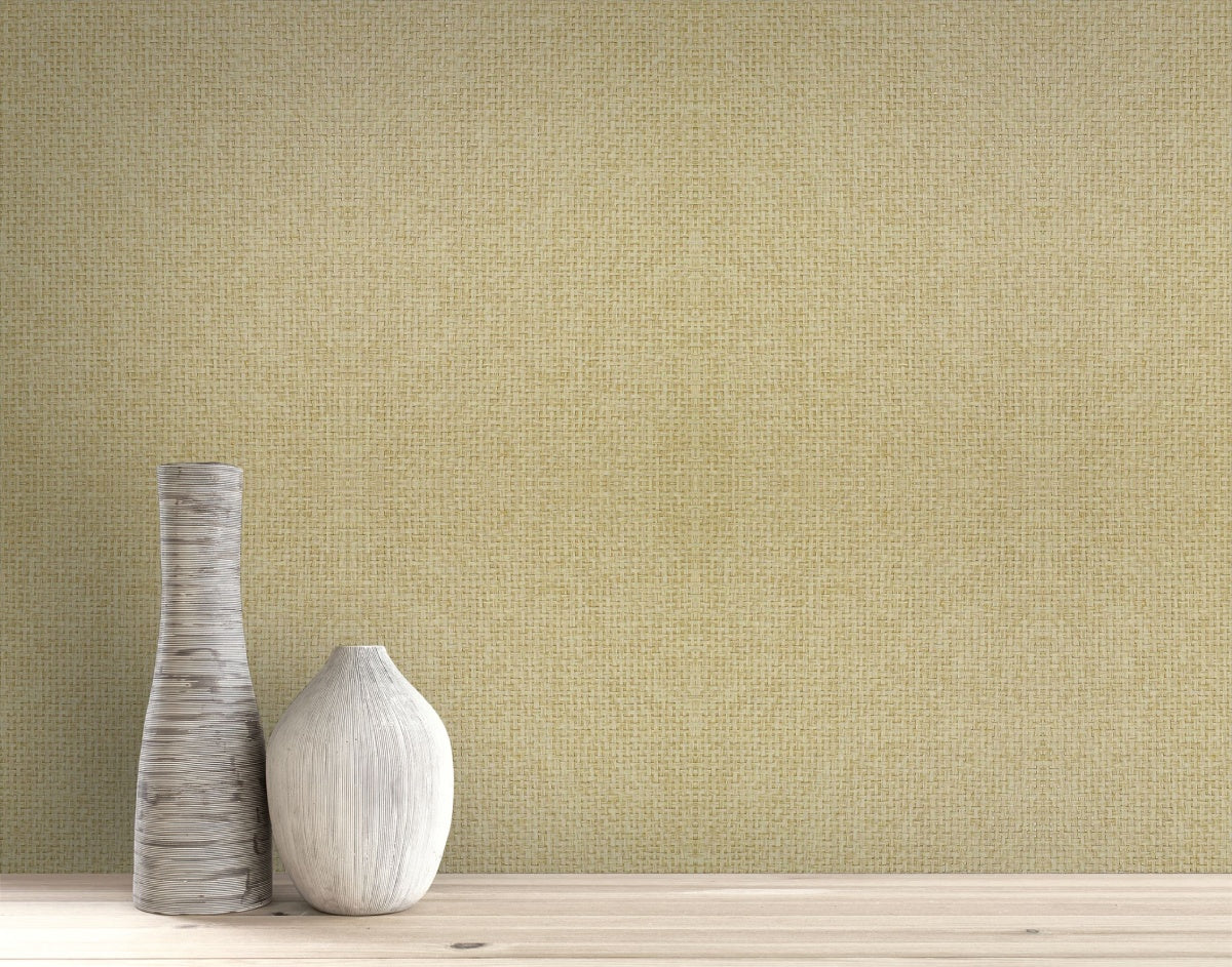 Paperbraid Texture Grasscloth & Naturals